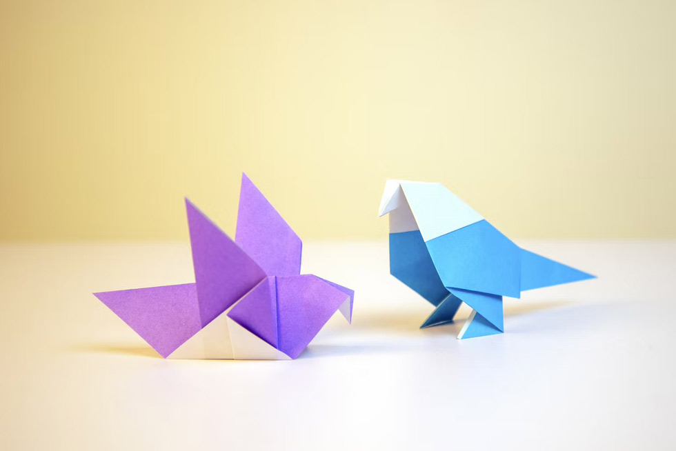 Origami Class