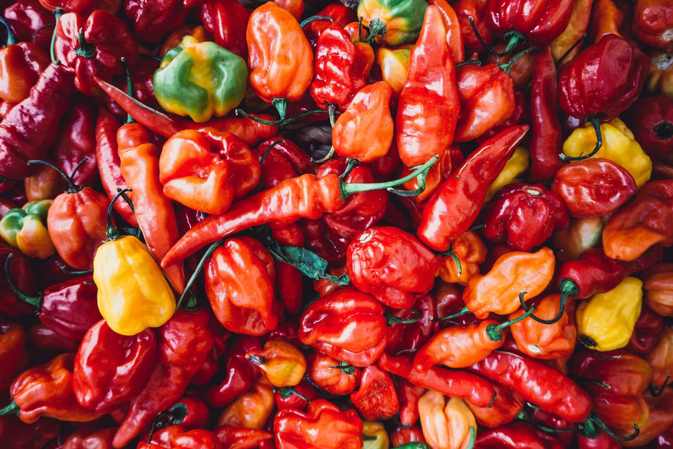 chilis for hot sauce