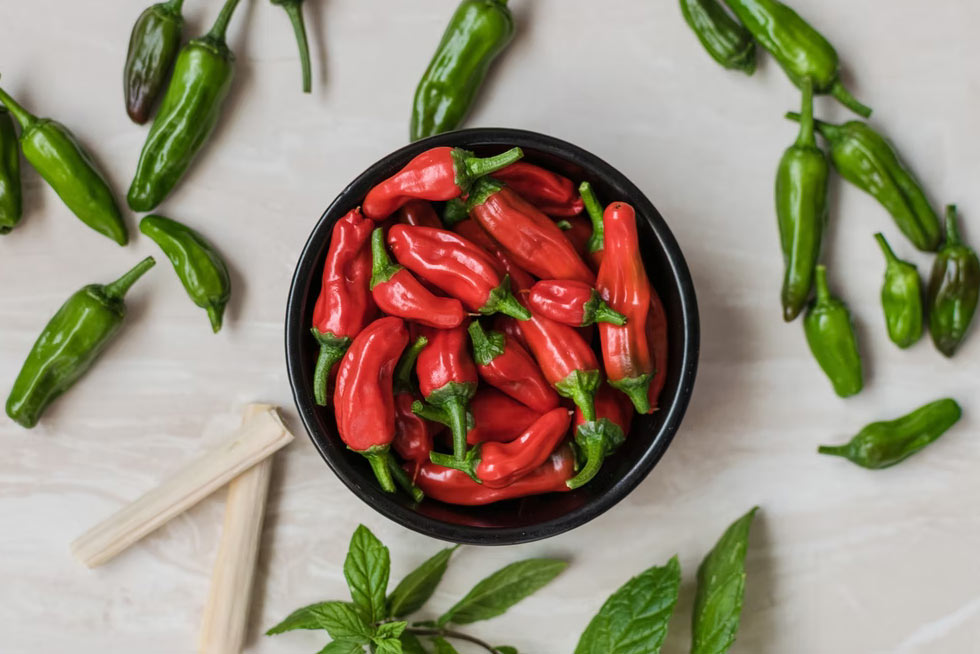 red chilis for hot sauce class