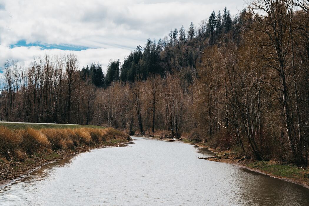 Abbotsford