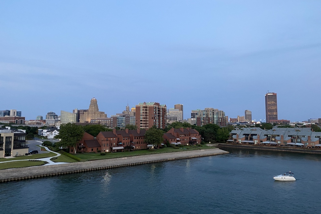 Buffalo